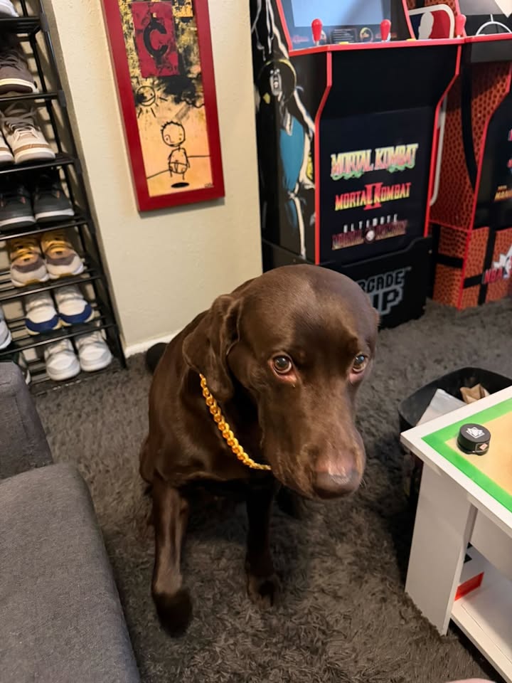 Dawg Chains