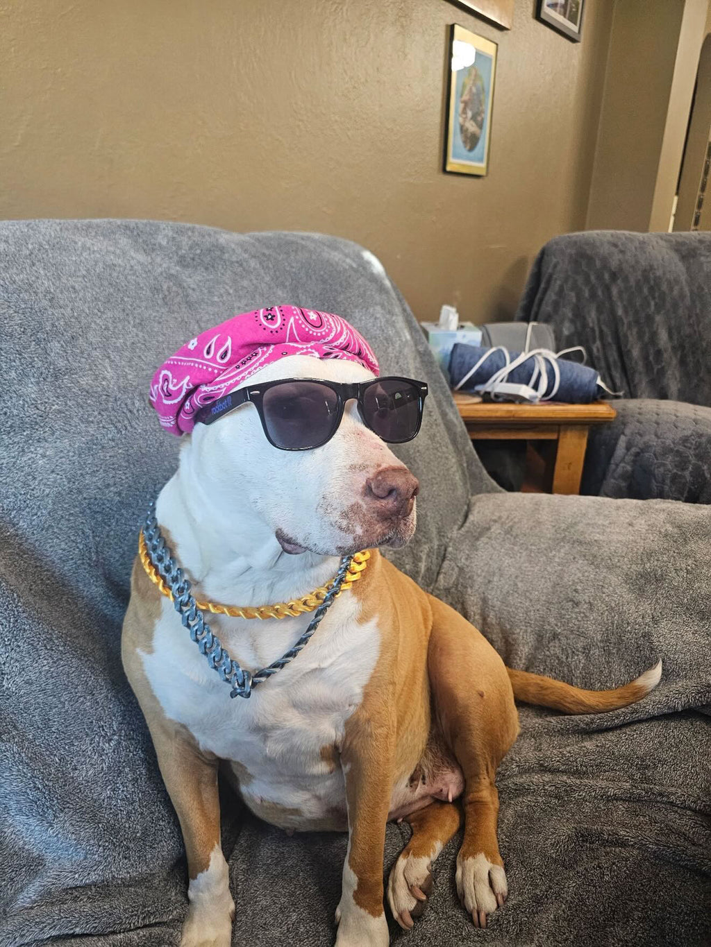 Dawg Chains