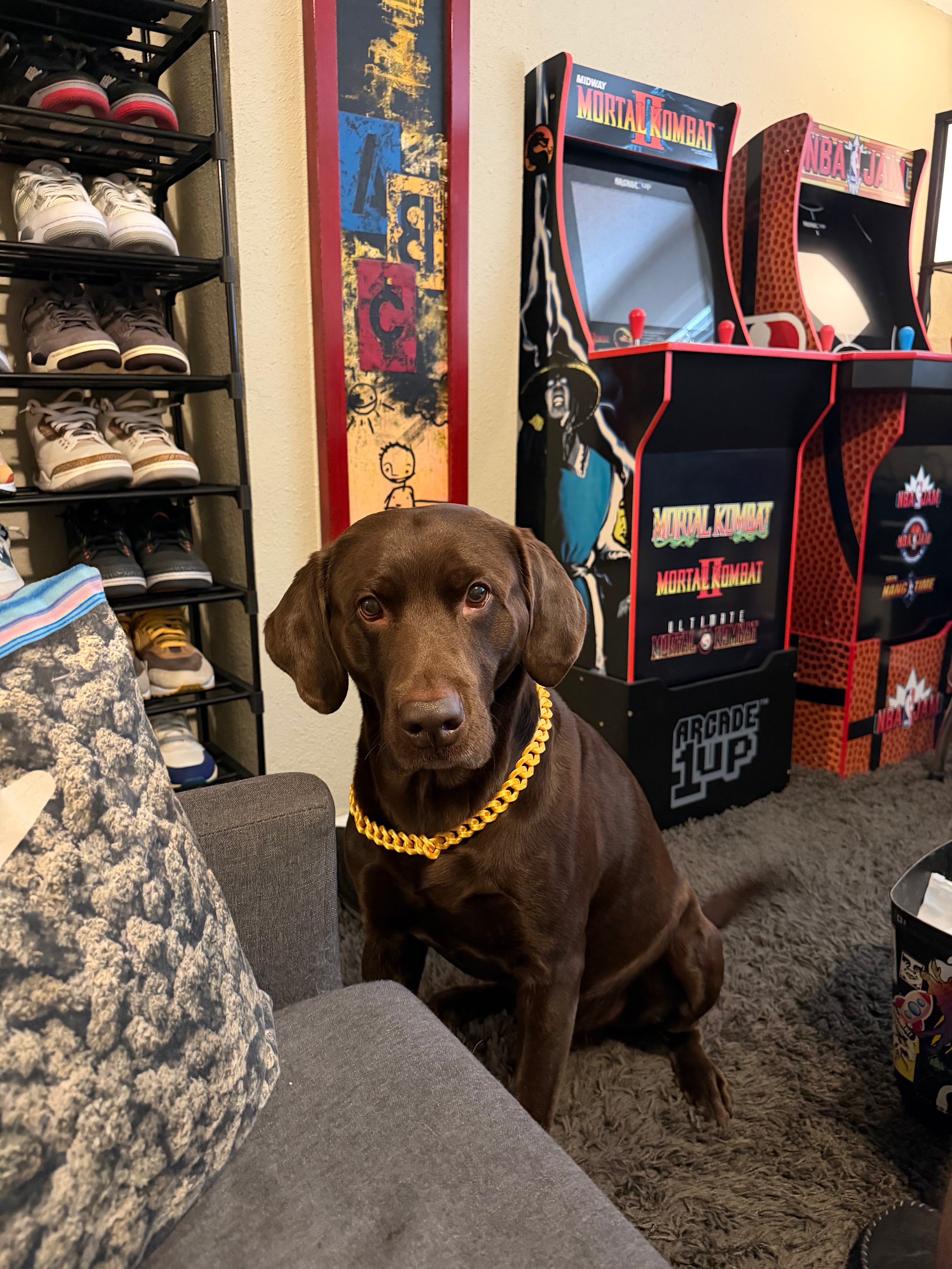 Dawg Chains
